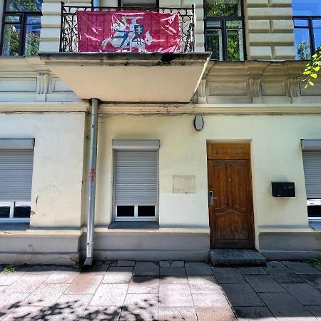 Vilnius Central Cozy Stay Kültér fotó