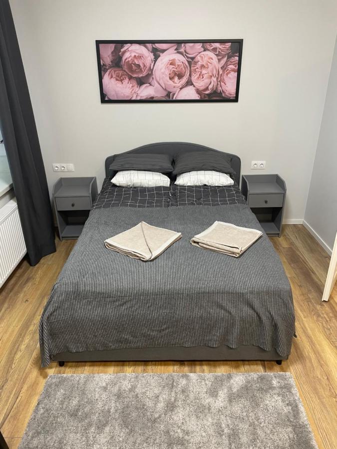 Vilnius Central Cozy Stay Kültér fotó